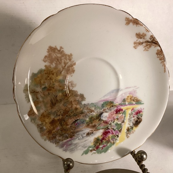 Shelley bone china cup and saucer,England - Picture 2 of 9